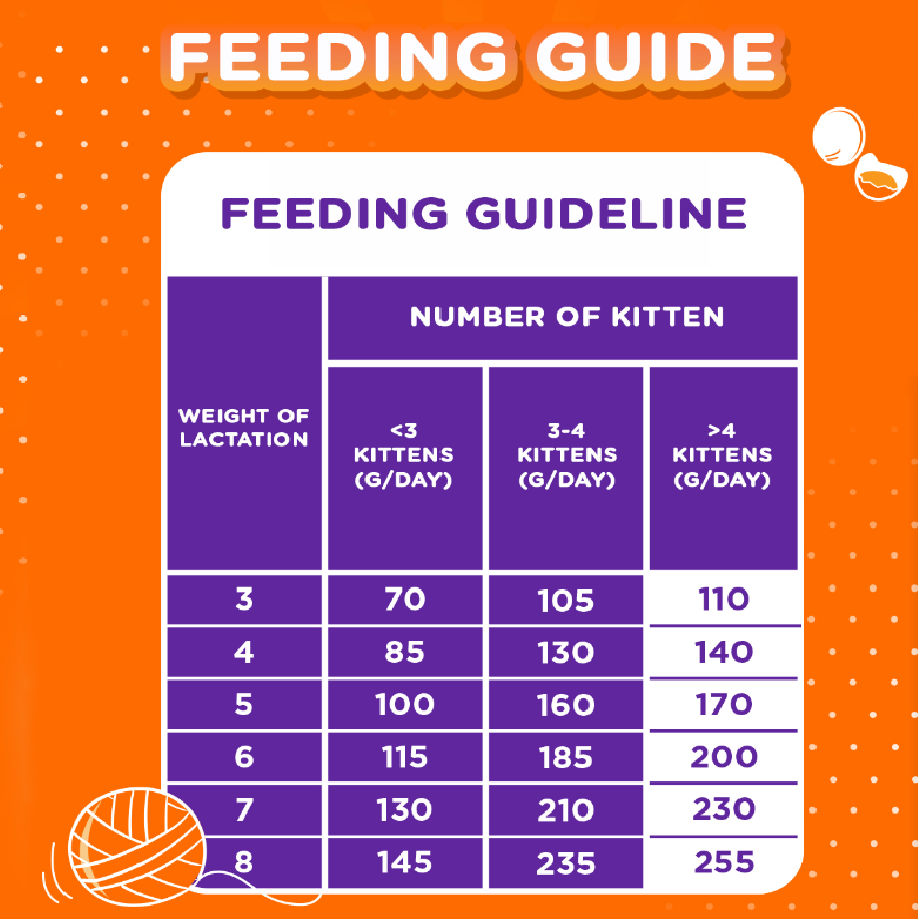 Thumbnail: iams Mother and Kitten 1kg