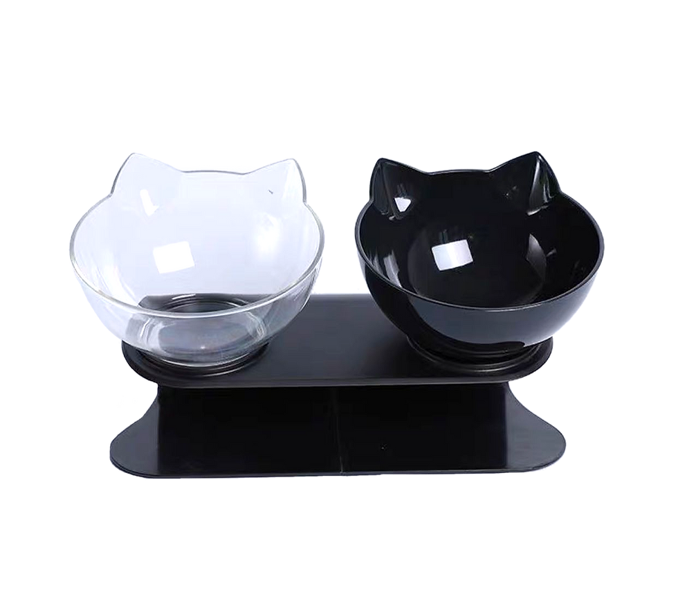 Thumbnail: Elevated Feeding Bowl Double