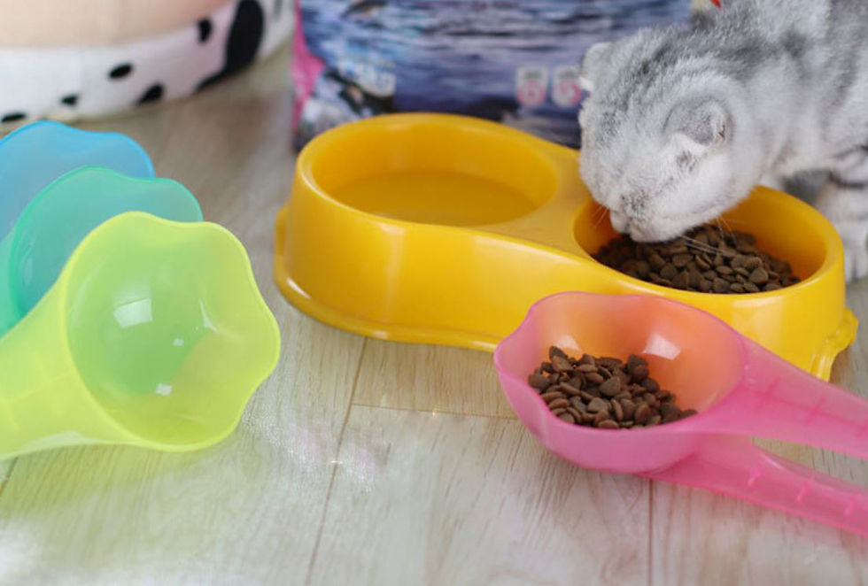 Thumbnail: Kibbles Scoop Big