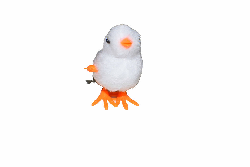 Thumbnail: Chicken Toy