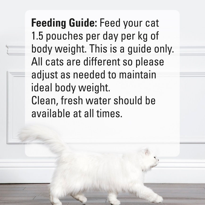 Thumbnail: Fancy Feast Petite Delights Cat Wet Food Pouch 50g