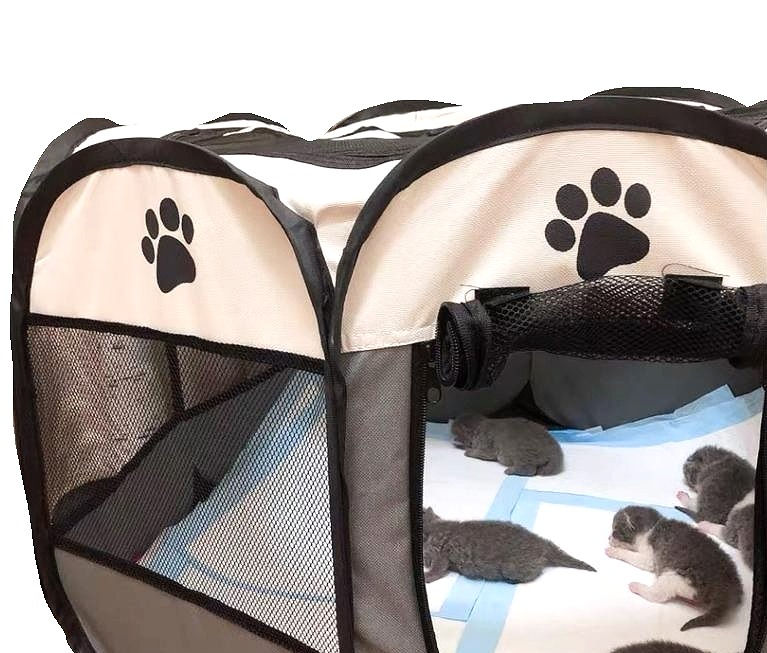 Thumbnail: Foldable Playpen