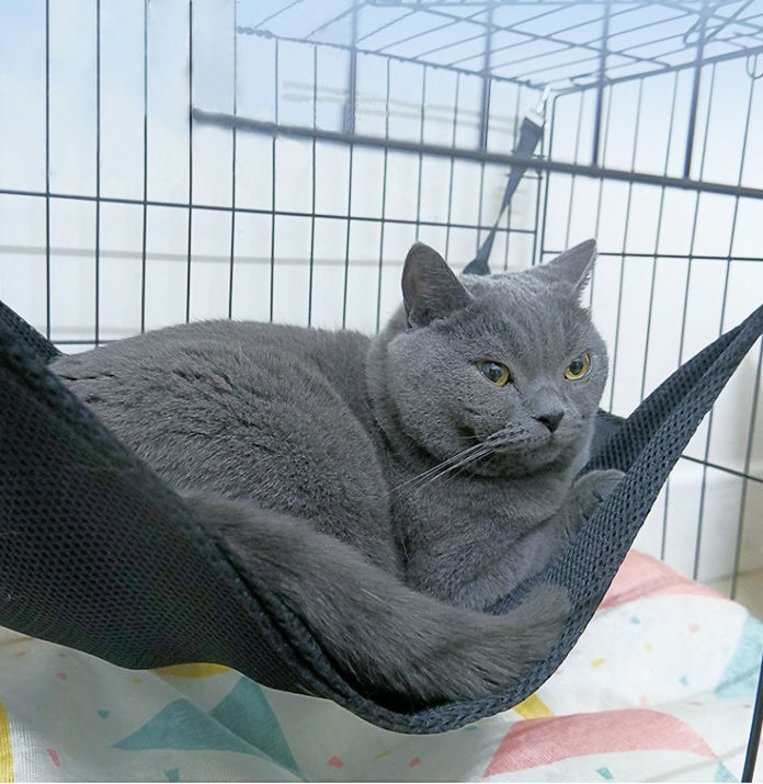 Thumbnail: Cage Hammock (35x35)