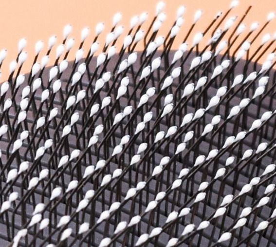Thumbnail: Brush