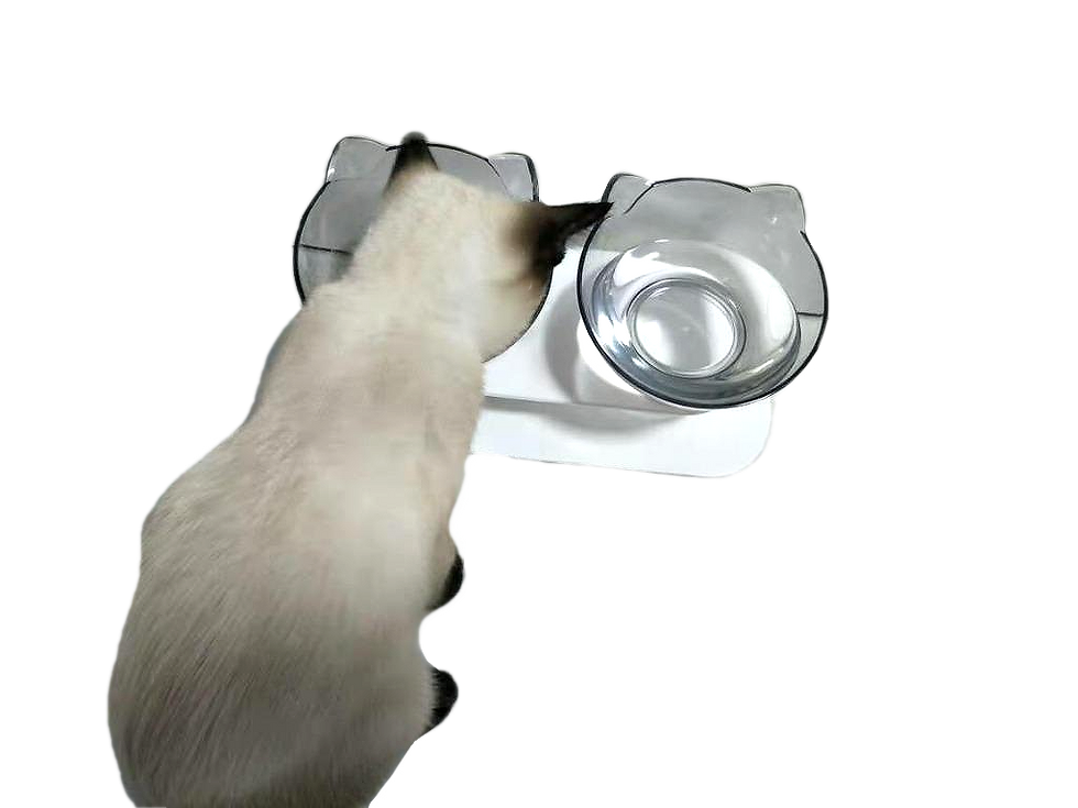 Thumbnail: Elevated Feeding Bowl Double