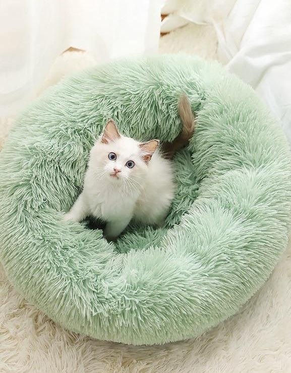 Thumbnail: Cushion Fluffy Bed