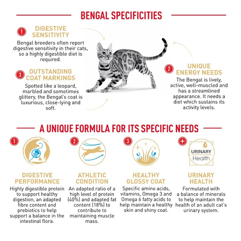 Thumbnail: Royal Canin Bengal Adult Dry Food 2kg