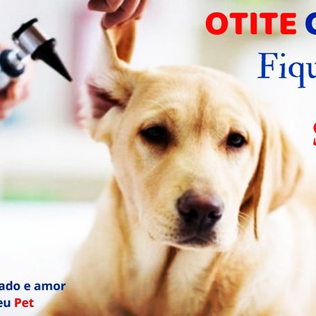 Otite Canina