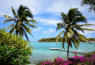 Luxury bareboat sailing yachts and catamarans anchored near palm-fringed beaches in a beautiful bay in Martinique.