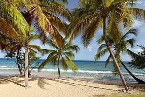 Luxury Bareboat Sailing Yachts and Catamarans anchored near a tropical beach in Grenada.