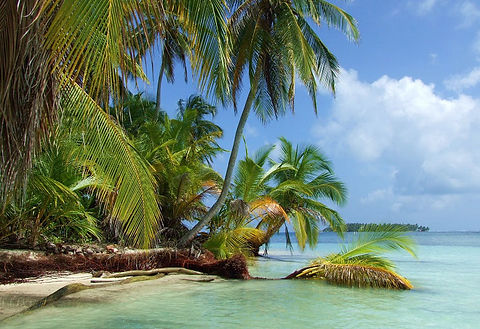 Luxury bareboat sailing yachts and catamarans cruising along the scenic coast of Trinidad and Tobago.