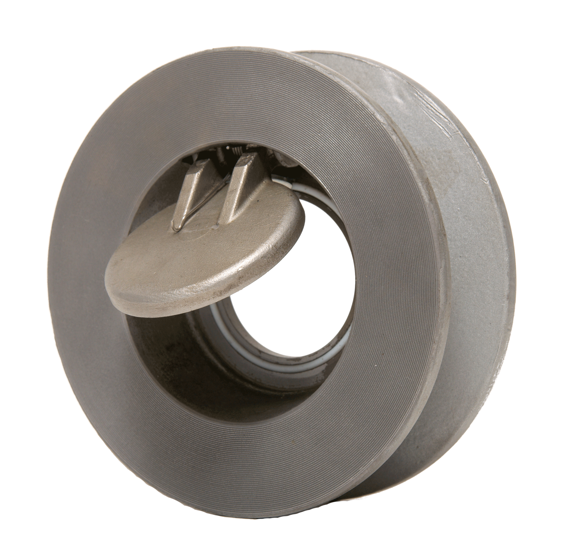 Wafer Check Valve Champion Valves, Inc. United States