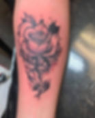 IMG_0603.jpeg