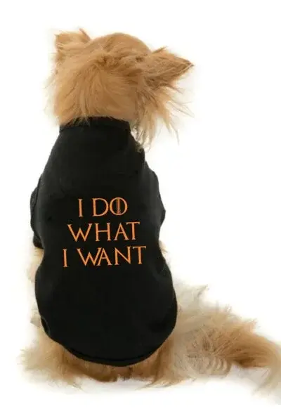 Pet printed t-shirts with cute and catchy slogans Tee Dog Cat Dogs Cats puppy puppies tshirt India high quality soft Customiz