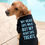 Thumbnail: Pet printed t-shirts with cute & catchy slogans Tee Dog Cat Dogs Cats puppy puppies tshirt India high quality soft Customize
