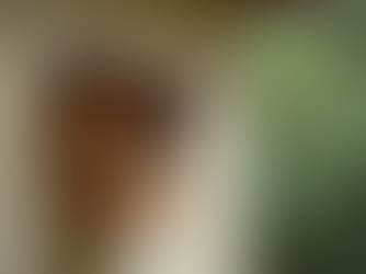 Help Save Our Swifts with Nesting Boxes