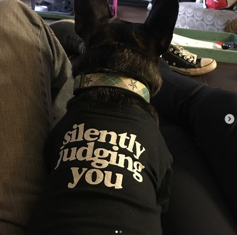 Thumbnail: Pet printed t-shirts with cute and catchy slogans Tee Dog Cat Dogs Cats puppy puppies tshirt India high quality soft Customiz