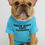 Thumbnail: Pet t-shirts with cute and catchy slogans