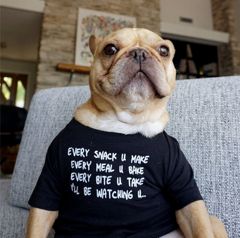 Thumbnail: Pet printed t-shirts with cute & catchy slogans Tee Dog Cat Dogs Cats puppy puppies tshirt India high quality soft Customize