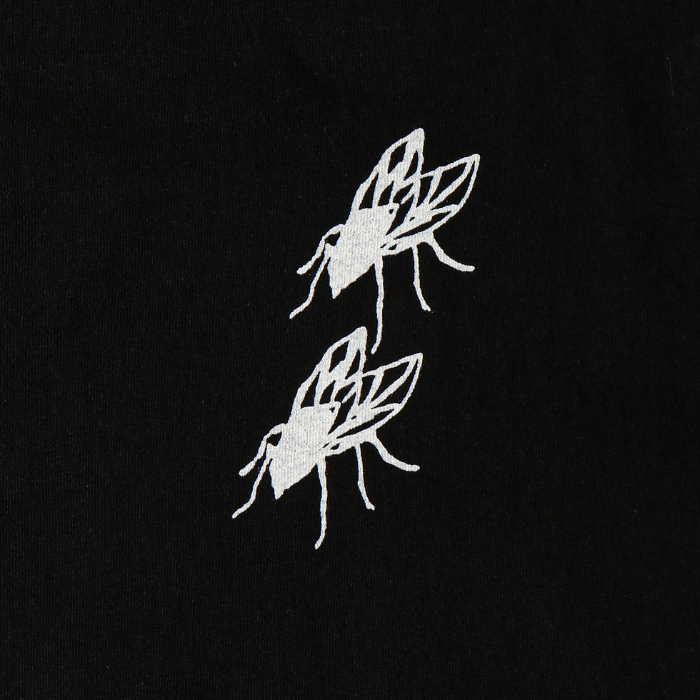 Thumbnail: FLASHFEST