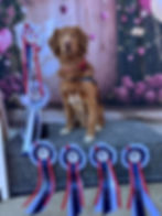 High in Trail! The Ribbons are high quality and hand made in the United Kingdom