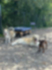 IMG_1097.jpeg