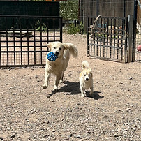 image00028.jpeg