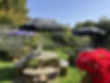 thumbnail_IMG_0497.jpg