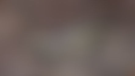 Cox lab receives NSF grant to study evolution of sex-biased gene expression in spiny lizards