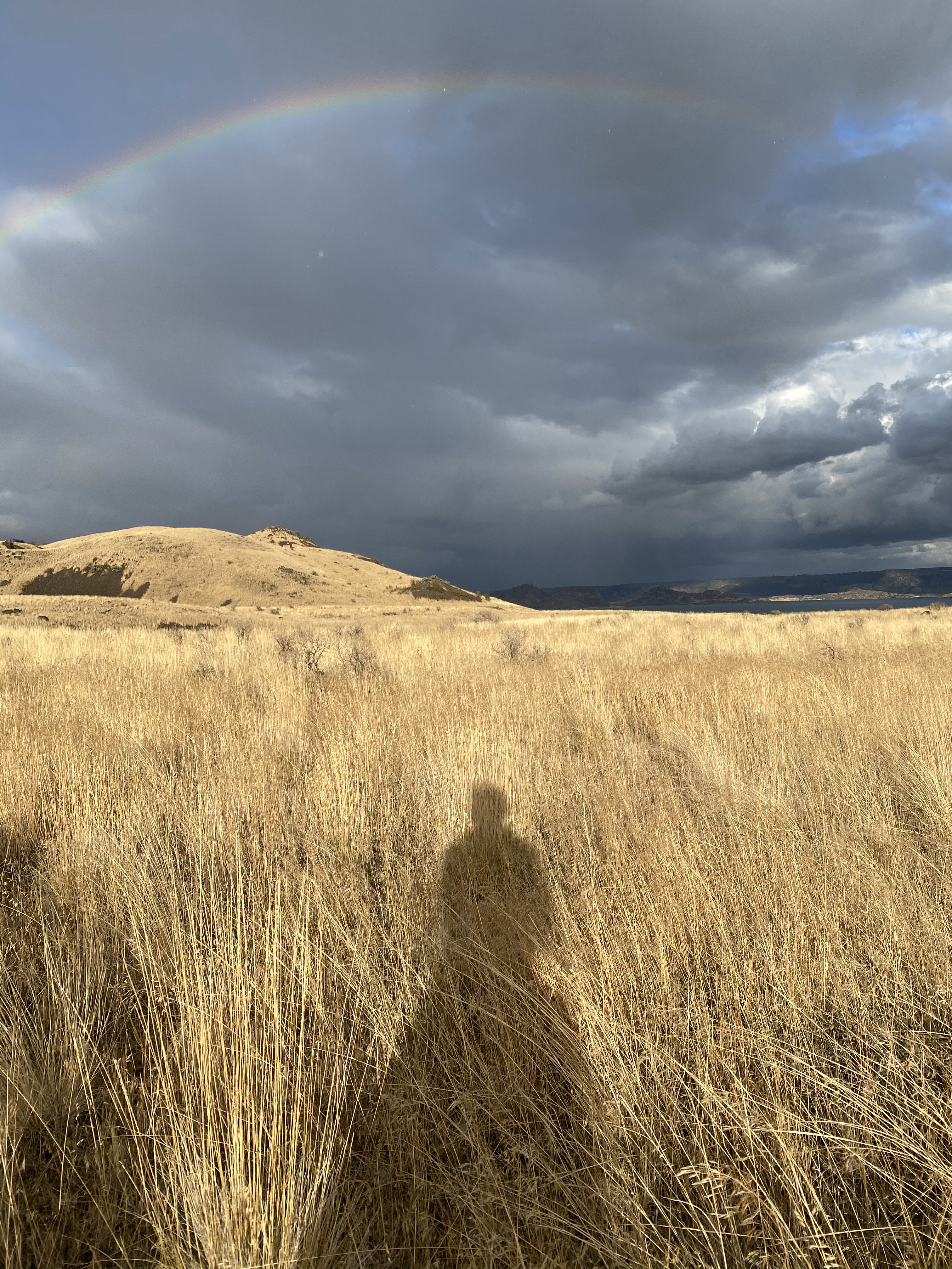 "Song Writing Series" Jan 12-28th