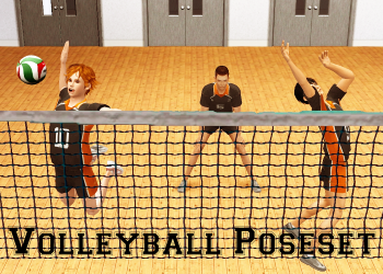 Volleyball Poseset