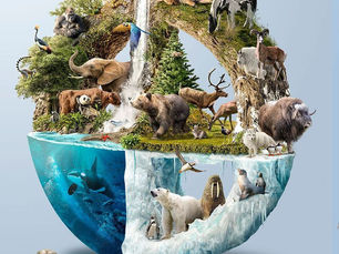 What Is an Ecosystem and What Does It Include?