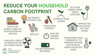 5 Simple Steps to Reduce Your Carbon Footprint at Home
