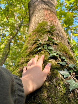 Connecting People with Nature: Why It Matters More Than Ever