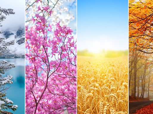 Seasonal Health Tips: Staying Healthy Year-Round