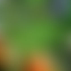 "A Cultural Case: Sports" – Coming Soon!