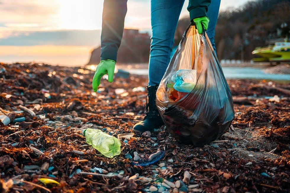 How Long Does Waste Stay in Nature and How Can We Prevent It?