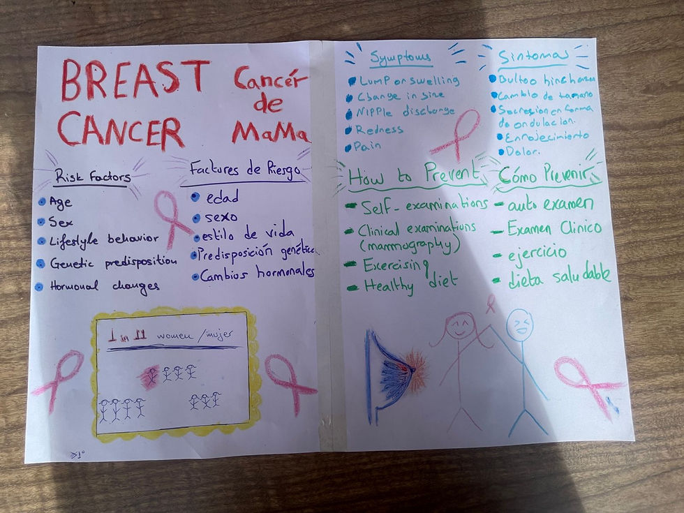 *The Pink Project: Youth for Breast Cancer – Empowering Young Voices for a Healthier Future * - * 2025-1-ES02-KA153-YOU-000298103 *