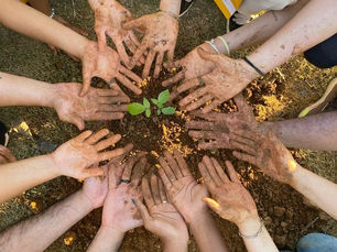 Empowering Youth for a Greener Future
