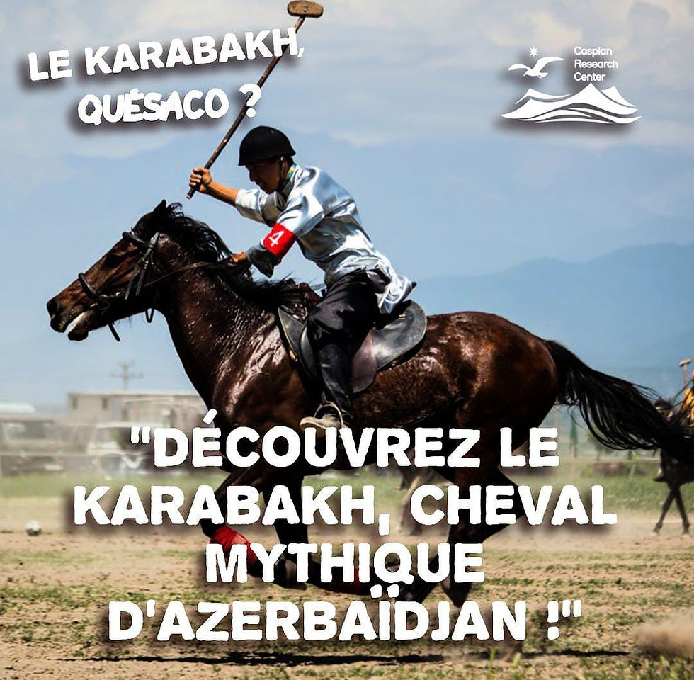Meet the Karabakh Horse — A Proud Icon of Azerbaijan!