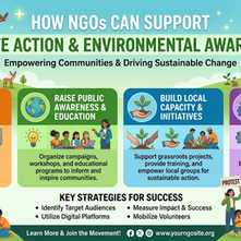 How NGOs Can Support Climate Action and Environmental Awareness