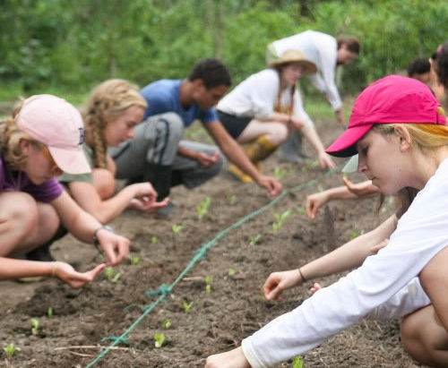 Nature, Education, and Youth: A Shared Responsibility