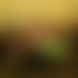 Reflecting on Our Role in Buy Less, Choose Well, Make It Last