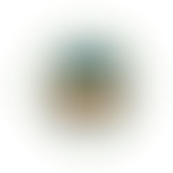 We founded our association!