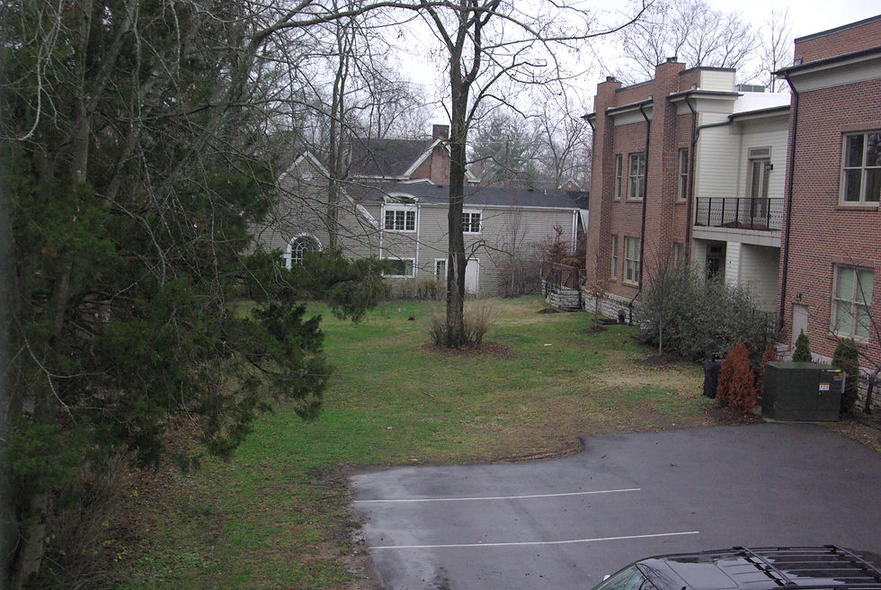 Backyard/Parking