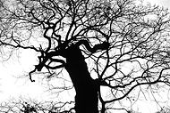 DSC_0066_1.jpeg