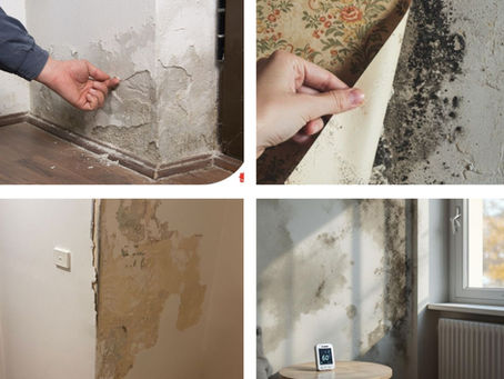 طرق علاج الرطوبة في الدور الأرضي