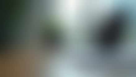 Finding Top Career Coaching Services in London