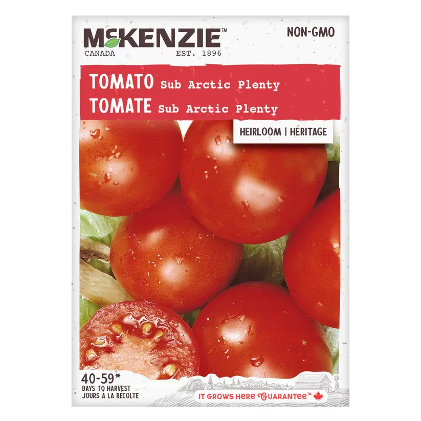 Miniature : Tomate Mckenzie