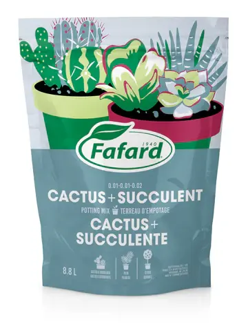 Terreau pour cactus et plantes grasses 8.8L